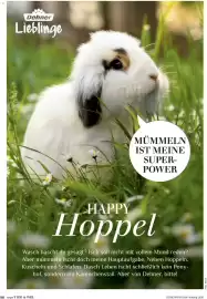 Dehner Prospekt Seite 96