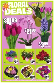 FreshCo flyer week 10 Page 5