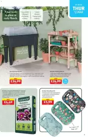 Aldi leaflet Page 13