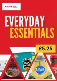 Iceland leaflet Page 1