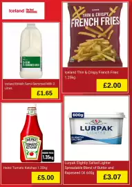 Iceland leaflet Page 2