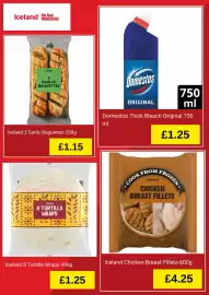 Iceland leaflet Page 4