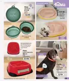 Catálogo Cklass Página 41