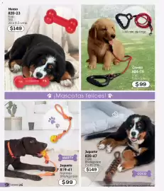 Catálogo Cklass Página 89