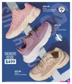 Catálogo Cklass Página 67