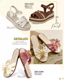 Catálogo Cklass Página 244