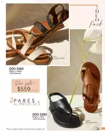 Catálogo Cklass Página 257