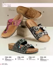 Catálogo Cklass Página 294