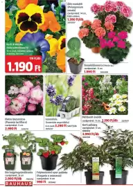 Bauhaus akciós újság Oldal 2