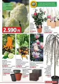 Bauhaus akciós újság Oldal 3