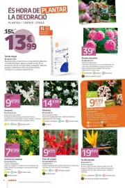 Catálogo Jardiland Página 4