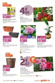 Catálogo Jardiland Página 5