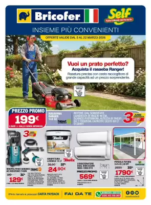 Volantino Bricofer (valido fino al 22-03)