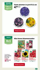 AVEVE folder Pagina 8