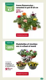 AVEVE folder Pagina 9