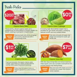 Healthy Planet flyer Page 2