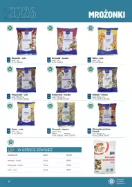 Makro gazetka Strona 42