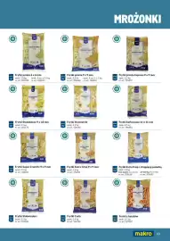 Makro gazetka Strona 43