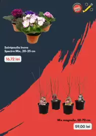 Catalog Brico Depôt Pagină 2