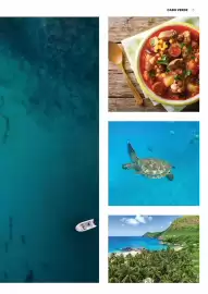 Folheto Abreu Página 5