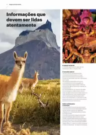 Folheto Abreu Página 12