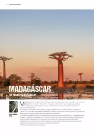 Folheto Abreu Página 22