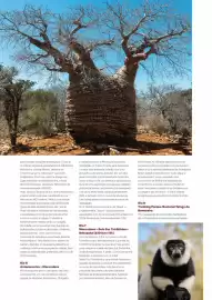 Folheto Abreu Página 24