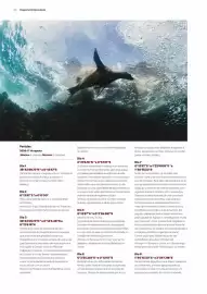 Folheto Abreu Página 38