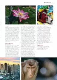 Folheto Abreu Página 59