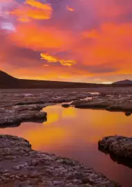 Folheto Abreu Página 8