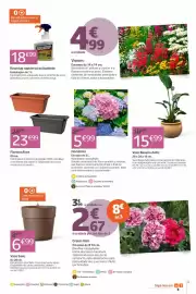 Catálogo Jardiland Página 5
