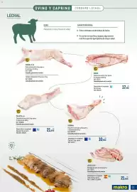 Catálogo Makro Página 37