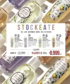 Catálogo Violetta Cosméticos Página 137