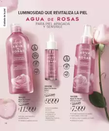 Catálogo Violetta Cosméticos Página 14