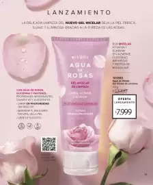Catálogo Violetta Cosméticos Página 15