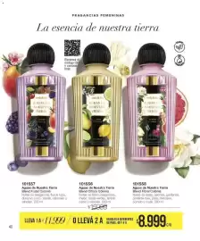 Catálogo Violetta Cosméticos Página 40