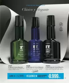 Catálogo Violetta Cosméticos Página 41