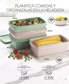 Catálogo Violetta Cosméticos Página 91