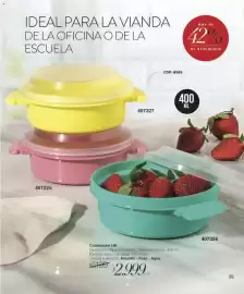 Catálogo Violetta Cosméticos Página 99