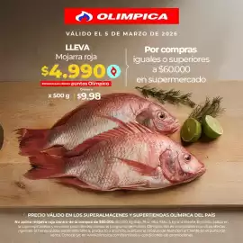 Catálogo Olímpica Página 3