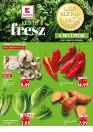 Kaufland gazetka Strona 10