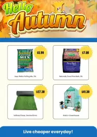 Cheap as Chips catalogue Page 4