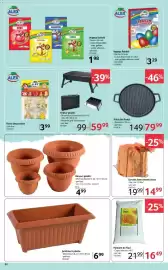 Catalog Selgros Pagină 22