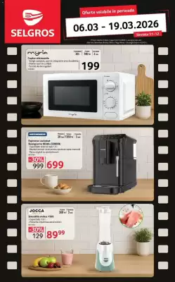 Catalog Selgros (valid până la 19-03)