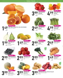 Coppa's Fresh Market flyer week 10 Page 2