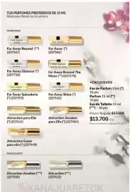 Catálogo Avon Página 100