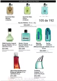 Catálogo Avon Página 102