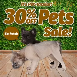 Cheap as Chips catalogue Page 1