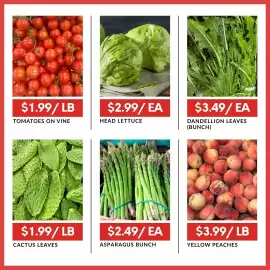 Basha Foods flyer week 10 Page 8