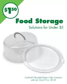 Dollar Tree weekly ad week 10 Page 3